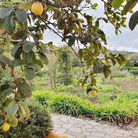 Casa Emblematica Tegueste